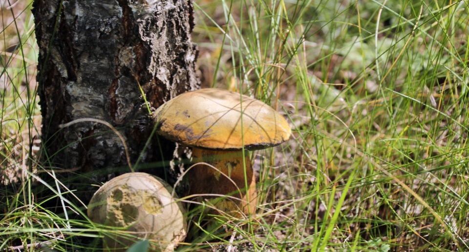 ����� 2025: ����� � ����� � ���������, � ������� ����� �������