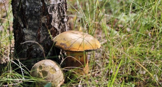 ����� 2025: ����� � ����� � ���������, � ������� ����� �������