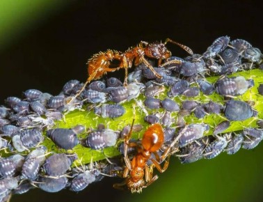 ���������� �������� �������� � ������ � ����