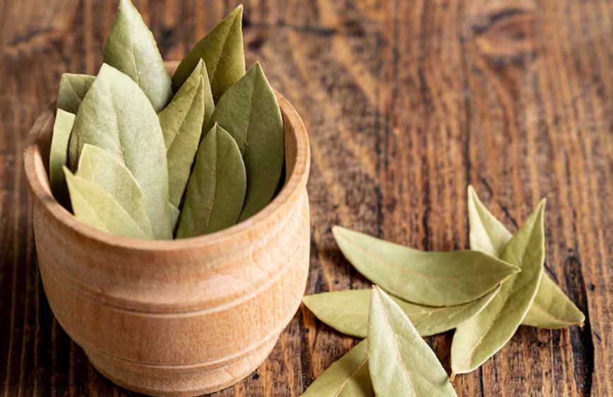 ��� �������� ���� ���� ��������� ���������� � ����: ����������� ������� ��� �������������