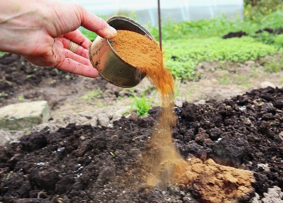 ������� �������� ����������: ��� �������� ���������� �����