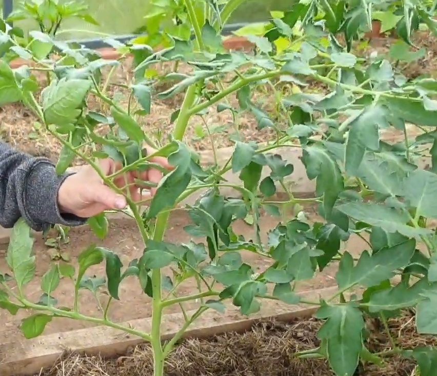 ������� ���������� �������: ���� � �������� ������