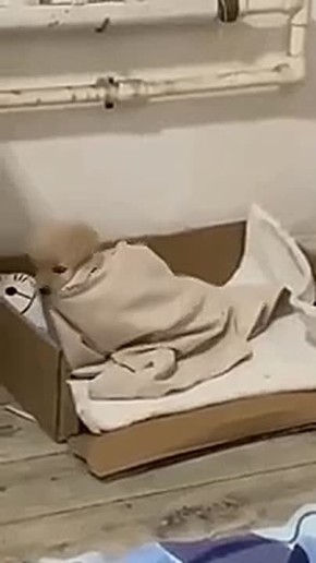 ������������ ����� ��������� �������� ���� �������� � �������� ����� �����