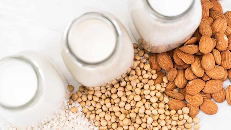 ������������ ��������