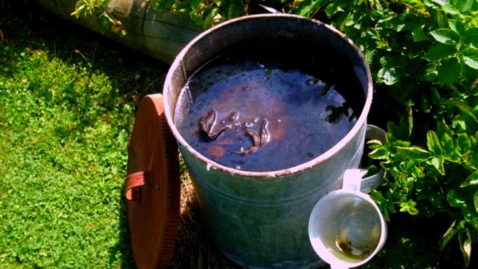 ������ �� ����� ����������: ����������� ����� ��� ��������