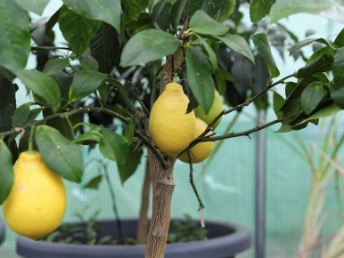 �������� ������: ������ �� ������� � ��������� ����