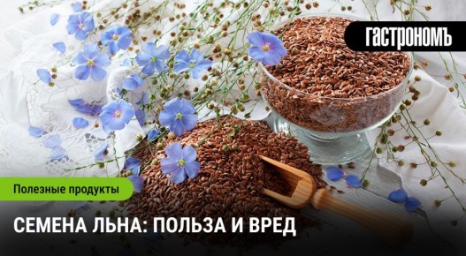 ������ ����: ��������� ���� � �������� ������� ��� ��������