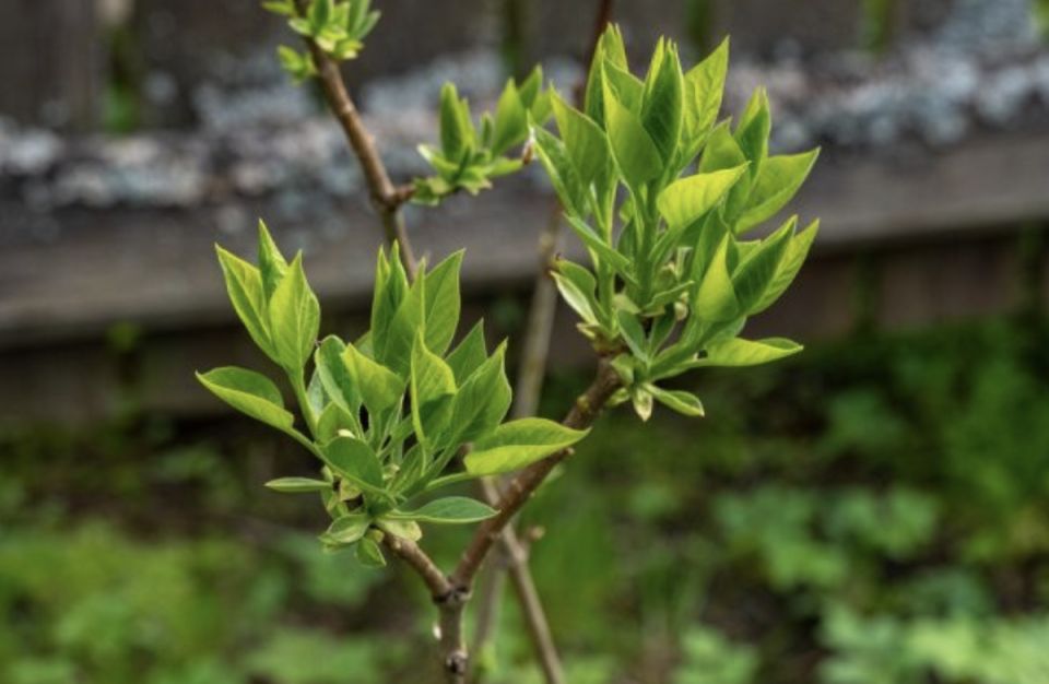 ������ ���� ������ �� ������? �������� �������� � ��� �������