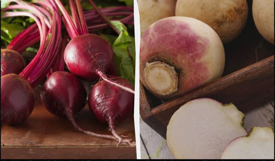 ��� ��������� �������� ������ �� �����: ������ ������� �������� �����