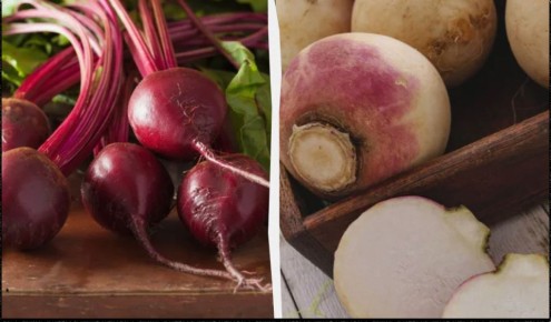 ��� ��������� �������� ������ �� �����: ������ ������� �������� �����