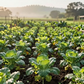 ��������� ������� ���������� ���������� ���� � �����������