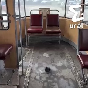 ��������� �������� � ������������� ������� �� 99%, �� ��� ����� 1%