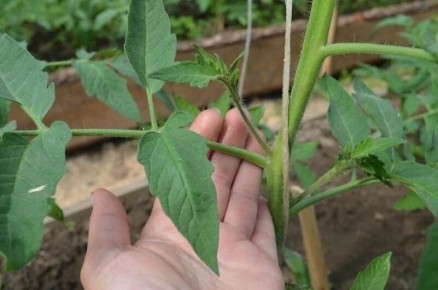 ������: ������� � �� �������� � �����