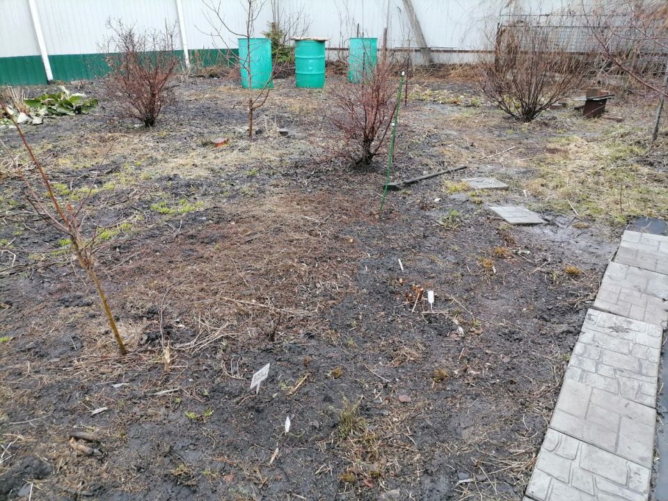 �������� ������ ���������: ����� � ��� ������������ ���������� � �������