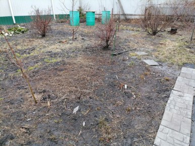 �������� ������ ���������: ����� � ��� ������������ ���������� � �������