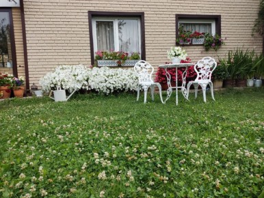 �������� ������� ������ � ������������ ������������