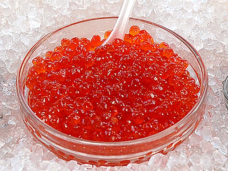 ��� ������� ������������ ����: ������ ��� �������� ��������