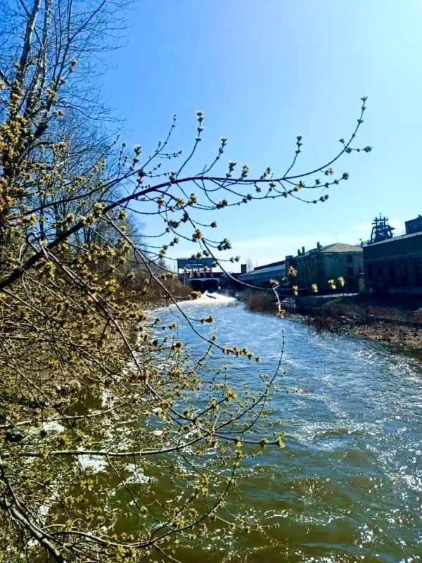 ��������� ������: ������ ����, ������! �������� ���!