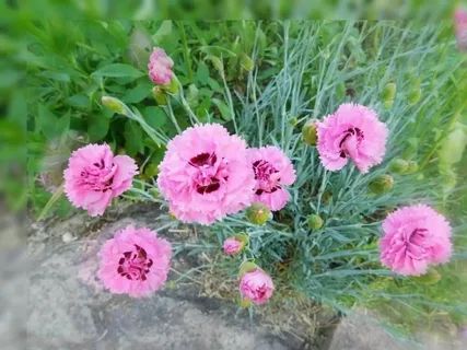 �������� ����: ������� ������� � ������� ��� ������ ��������