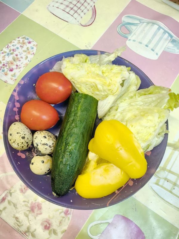 ������� �� ������: �������� ������ ��� ������ ����