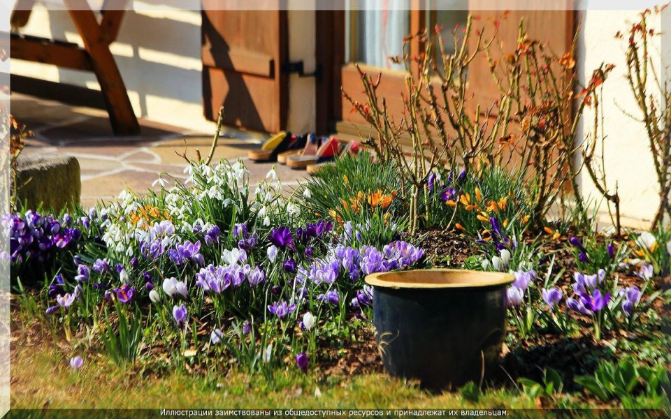 ��� ����������� ��� � ������� ������: �������� ������ ��� ������ �����