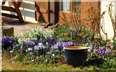 ��� ����������� ��� � ������� ������: �������� ������ ��� ������ �����