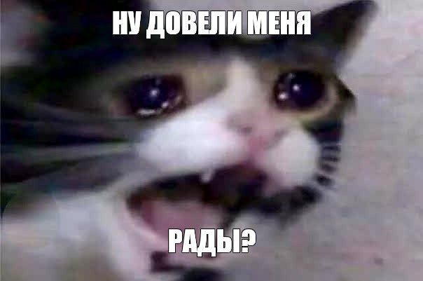 ������ ������ ������������ �� ����, �������� ����� �� �������