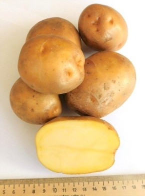 ��������� ��������: ��������� ����� ��� ���������������� �������