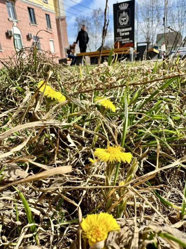 ��������� ������: ������ ����, ��������� ���������� ������� ������!