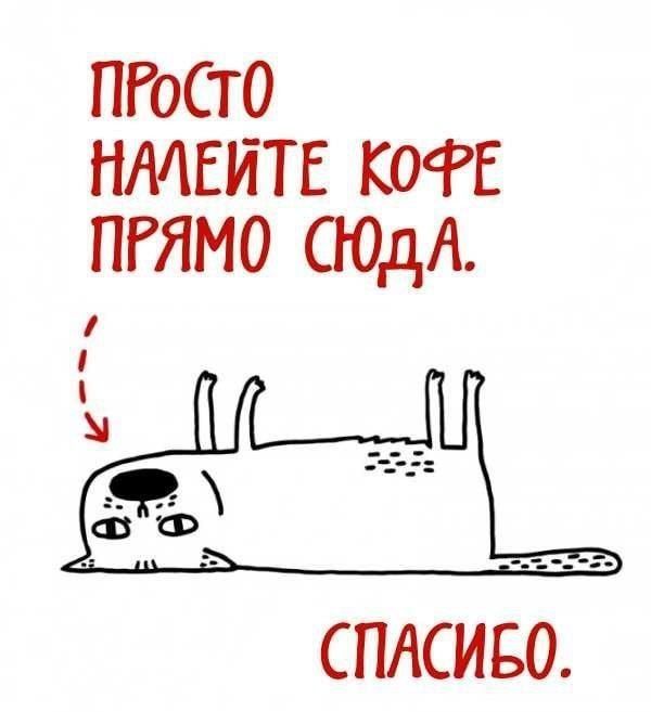 �������, 17 ������, ���������� ������������� ���� ����