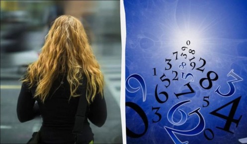 ��� ���� �������� ������ �� �������� �������� � ��������������