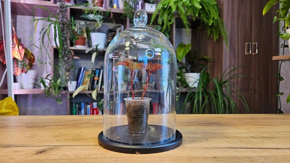 ������� �������� ����� ��������: ��� �������� ������ ������� � �������� ������ �������