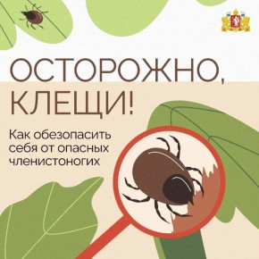 ����� � �����, ����� ������������ ������ ��������, � ��� ����� � ����������