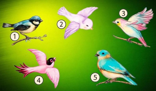 ��� ���� ������������ � ������ �������� ���� ������ � �������