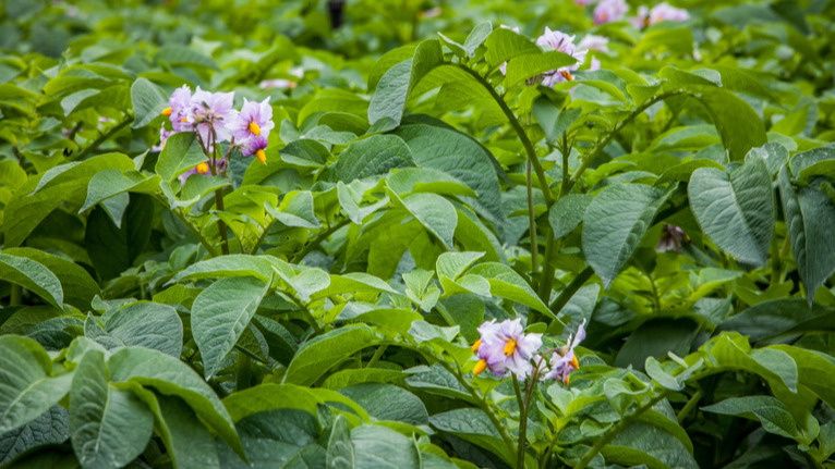 ����������� ������ � ������ � ����������� �����