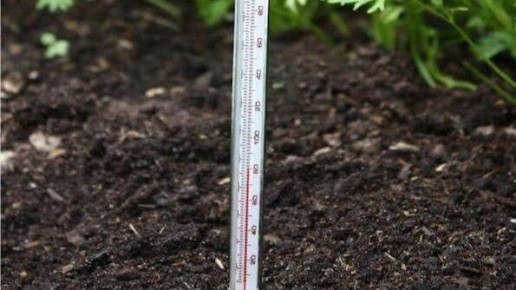 ����� �� �����: ������� ������� ������� � �������� �������