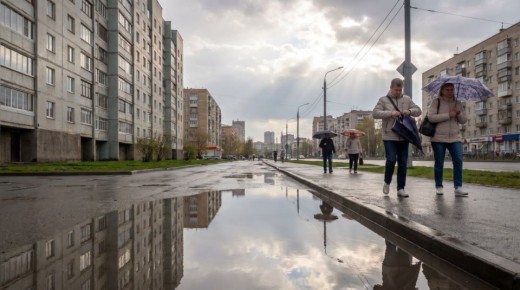 ������ ����, ����!. �������