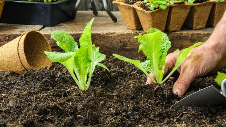 �� �����-������ �� ���-���: ���-7 ����������� ������� ��� ����� �������