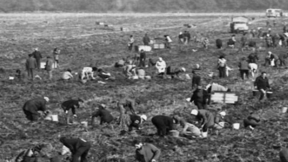 ������������ � �������: ��������������� �������, ������� �� �������� �� �����