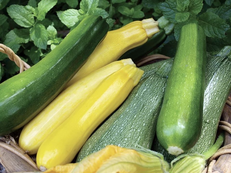 �������: ����� � � �������