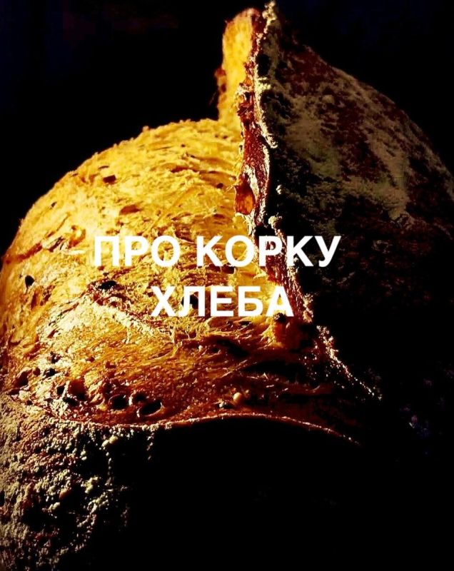 ������ ����� ����� ��� ����� ��� ������ �������