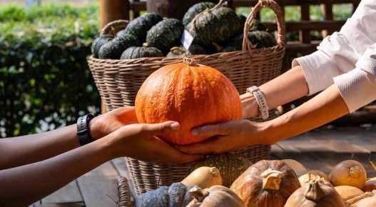 ����������� ����� �����: ��������� ����� ���� � ���������� �������