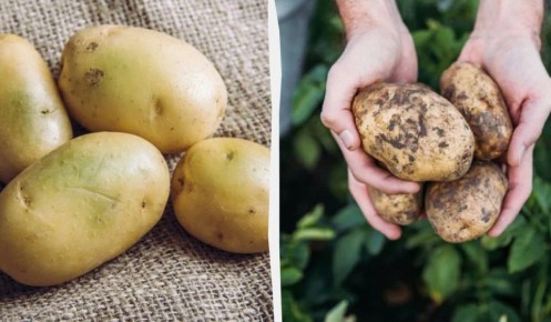 ������ �������� �������� � ��� � ��� ������?