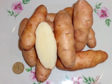 ��������� ���: ���������� ���� � ������������ ����� �������