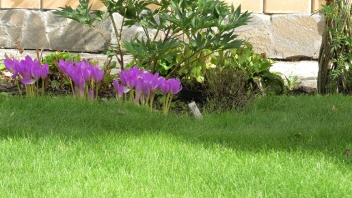 ������������ �������: ������� � �������������