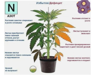 ��� ������, ��� �������� ��������� � �����, ������� � �����?