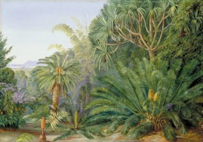 �����: ������� ������ �������, ������� ������������ ����� �����������