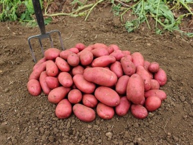 ��� ������� ��������� ���������: ���������� ������ � �������� ���� � �����