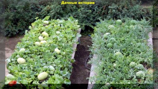 10 �������� ��������� ����������� ������� � ���� ��� ���������� ���������