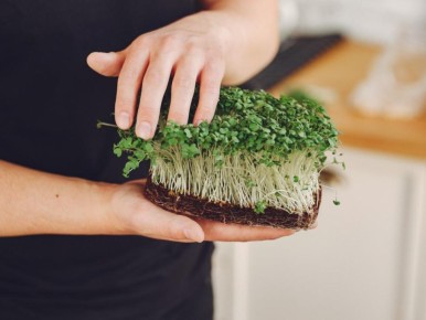 ��� ����������� ����� �������� ���� ������ �����